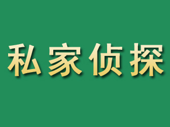 城北市私家正规侦探